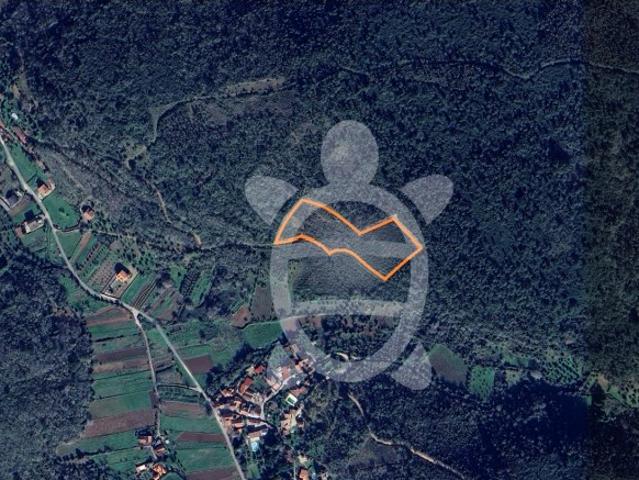 Terreno em Podentes