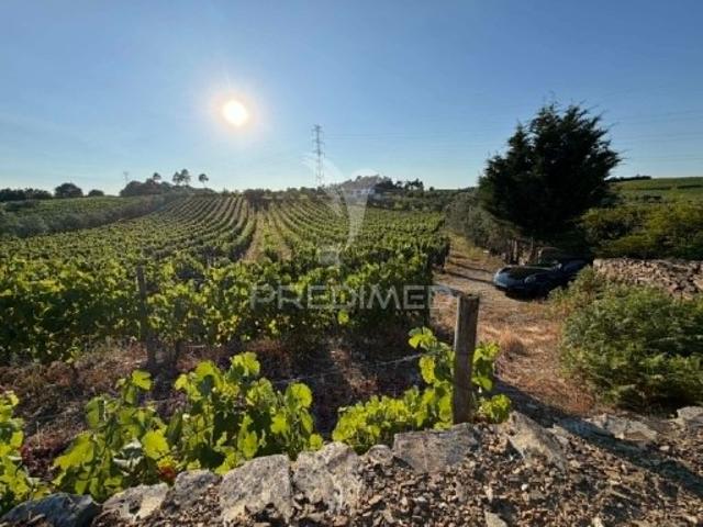 Terreno em Poiares