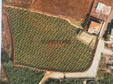Terreno em Ponta do Sol