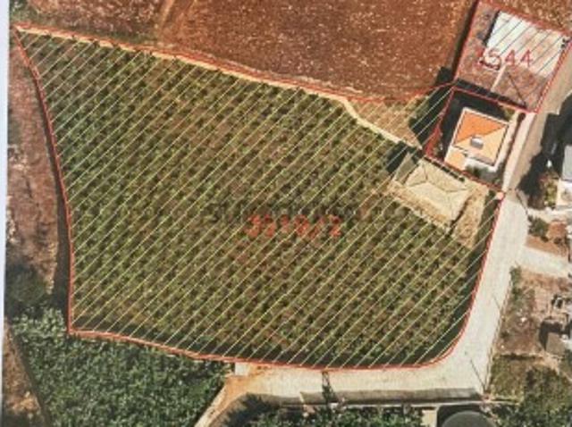 Terreno em Ponta do Sol