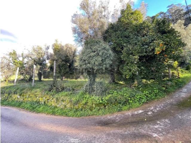 Terreno em Ponte da Barca, V.N. Muía, Paço Vedro Magalhães