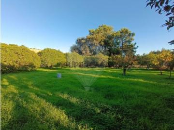 Terreno em Pontével