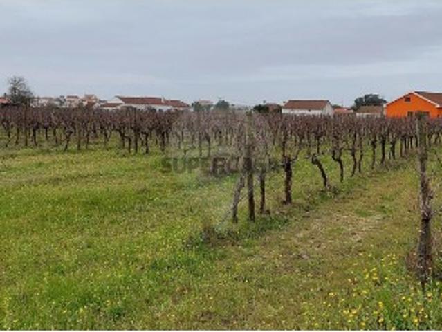 Terreno em Pontével