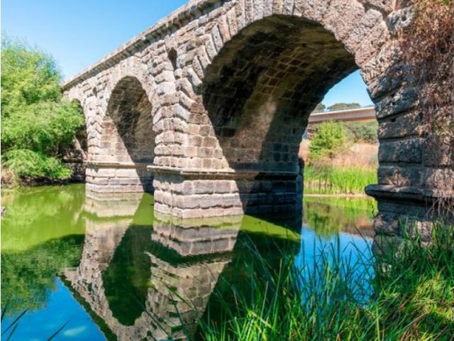 TERRENO EM PORTALEGRE FRONTEIRA 65 HA COM 4.000 OLIVEIRAS | OPORTUNIDADE