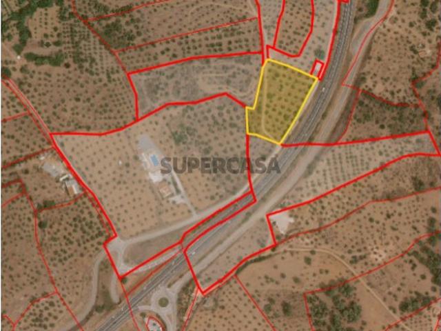 Terreno em Portel com 5897m2
