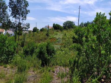 Terreno em Portela do Fojo Machio