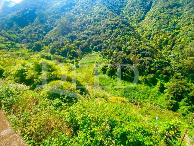 Terreno em Porto da Cruz