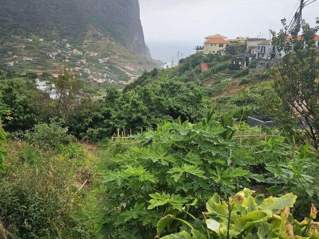 Terreno em Porto da Cruz de 990,00 m²