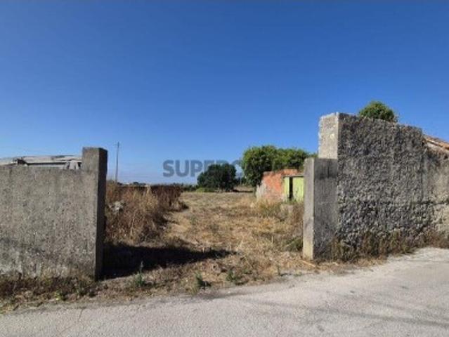 Terreno em Porto de Mós São João Baptista e São Pedro de 4560,00 m²