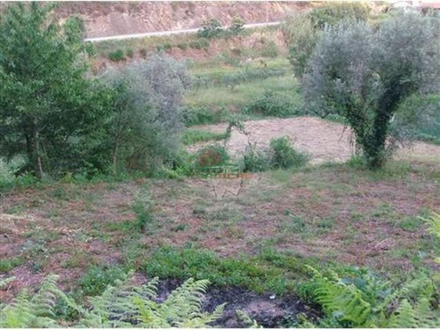 Terreno em Porto do Douro