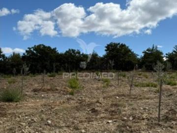 Terreno em Póvoa de Penela