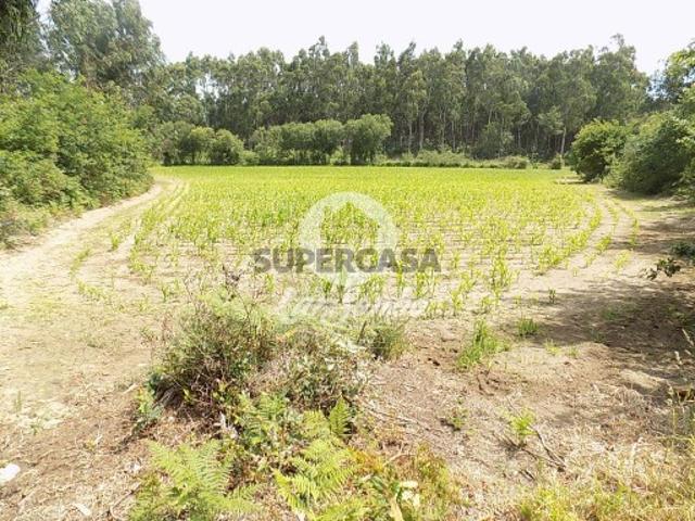 Terreno em Póvoa de Varzim