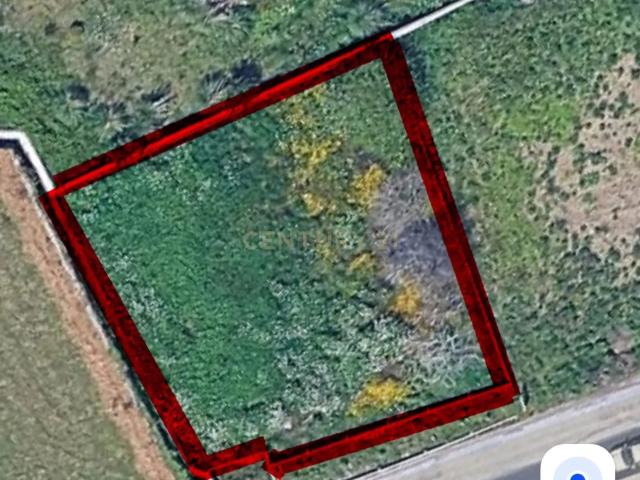 Terreno em Póvoa de Varzim com Poço e Árvores de Fruto