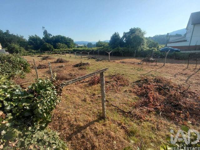 Terreno em Prado e Remoães
