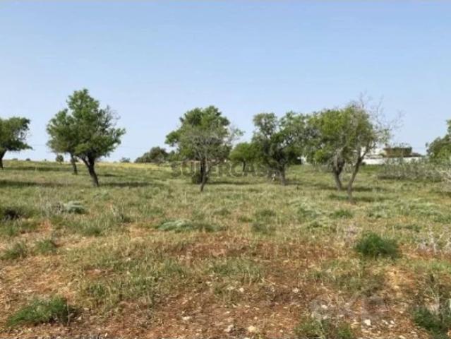 Terreno em Quelfes