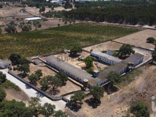 Terreno em Quinta do Anjo