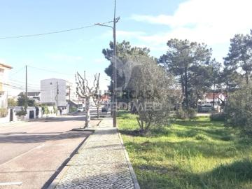 Av Rio Mondego, Courelas da Brava, Quinta do Conde, Seixal, Distrito de Setúbal