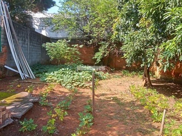 TERRENO EM RUA SEM SAIDA, PLANO E MURADO SENDO 10X47 = 470M2 EM SANTO AMARO
