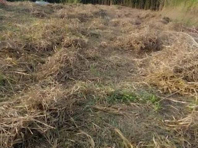 Terreno em Recreio Santa Rita, Suzano/SP de 0m² à venda por R$ 200.000,00