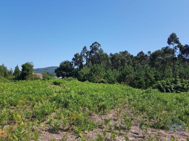 Terreno em Reboreda e Nogueira de 4514,00 m²