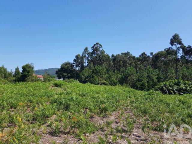Terreno em Reboreda e Nogueira de 4514,00 m²