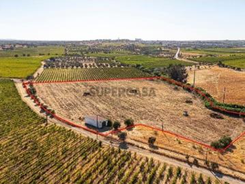 Terreno em Reguengos de Monsaraz
