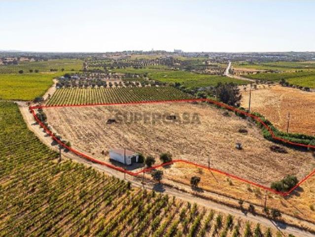 Terreno em Reguengos de Monsaraz