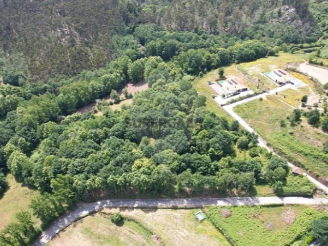 Terreno em Refojos de Basto