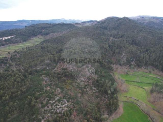 Terreno em Refojos de Basto