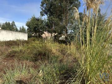 Terreno em Requeixo, Nossa Senhora de Fátima e Nariz de 310,00 m²