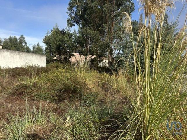 Terreno em Requeixo, Nossa Senhora de Fátima e Nariz de 310,00 m²