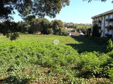 Terreno em Requião com 4520 m² face à estrada nacional Famalicão Guimarães!.