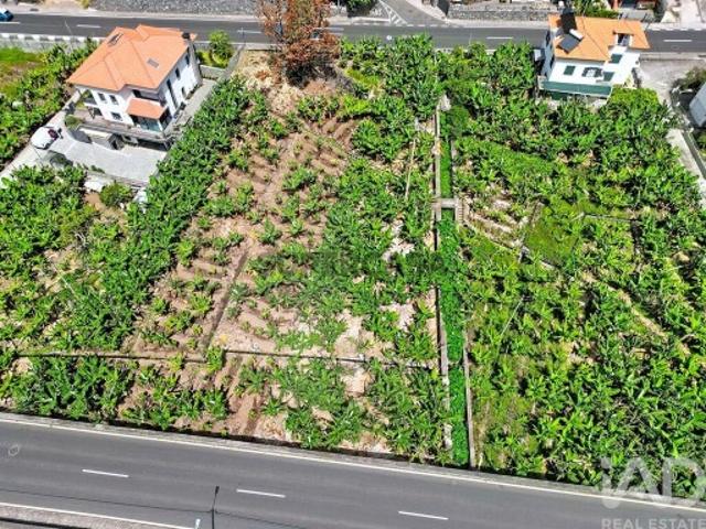 Terreno em Ribeira Brava