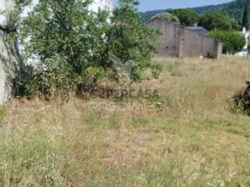 Terreno em Ribeira de Nisa e Carreiras
