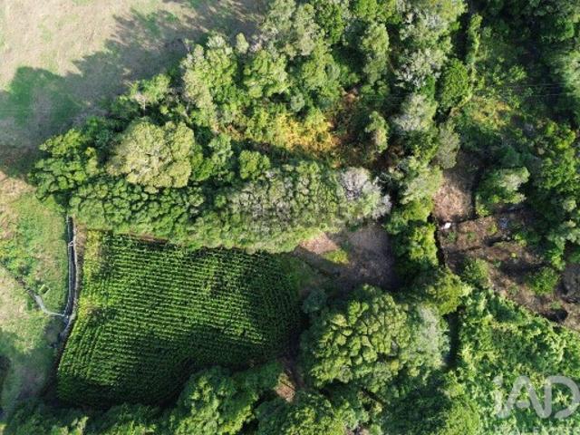 Terreno em Ribeiras