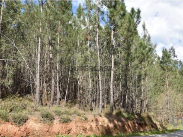 Terreno em Rio de Couros e Casal dos Bernardos de 3487,00 m²