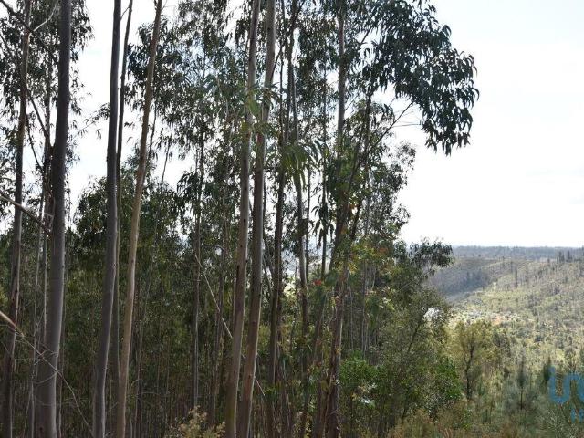 Terreno em Rio de Couros e Casal dos Bernardos de 7590,00 m²