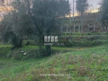 Terreno em Rio de Moinhos