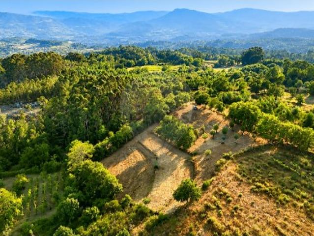 Terreno em Rio Douro