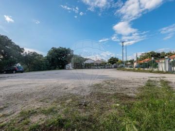 Terreno em Rio Maior