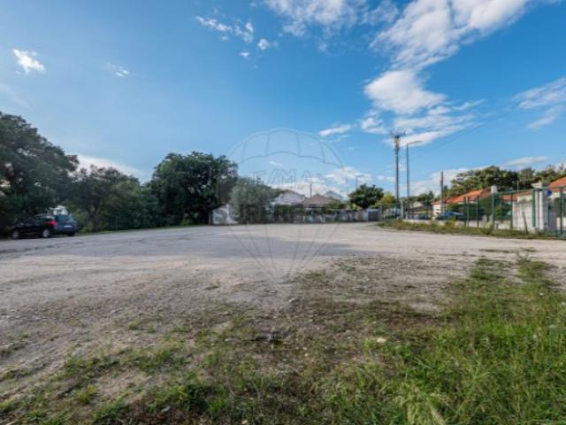 Terreno em Rio Maior