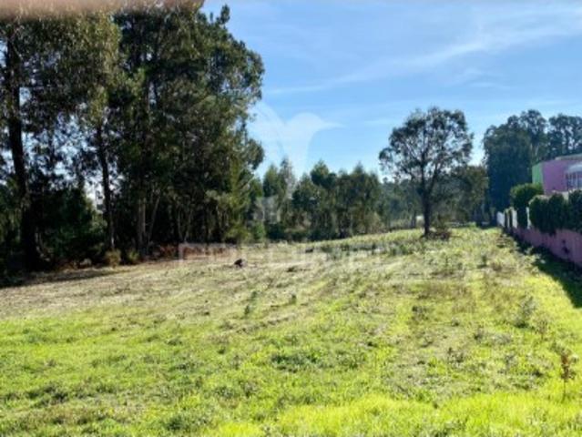 Terreno em Rio Maior