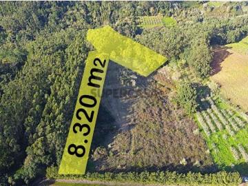 Terreno em Roliça