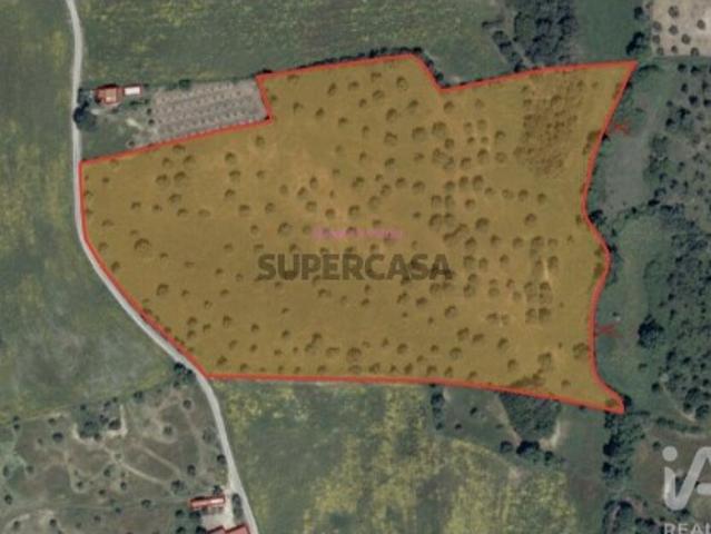 Terreno em Romeira e Várzea