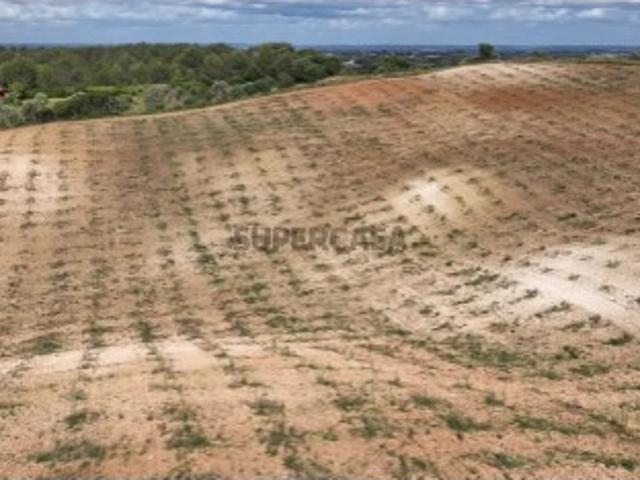 Terreno em Romeira e Várzea