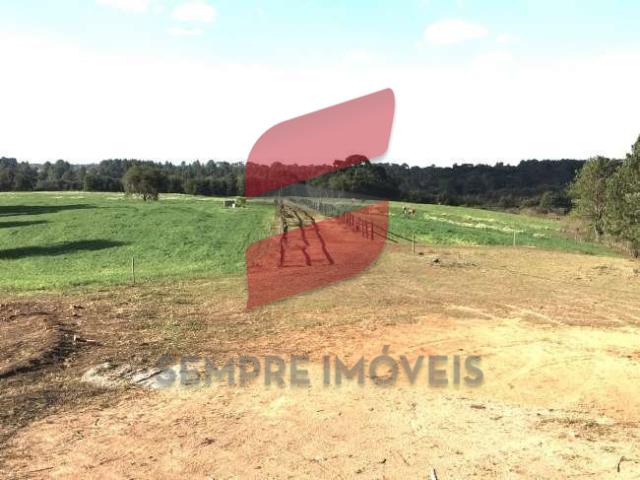 Terreno em Roseira, São José dos Pinhais/PR de 20000m² à venda por R$ 3.739.700,00
