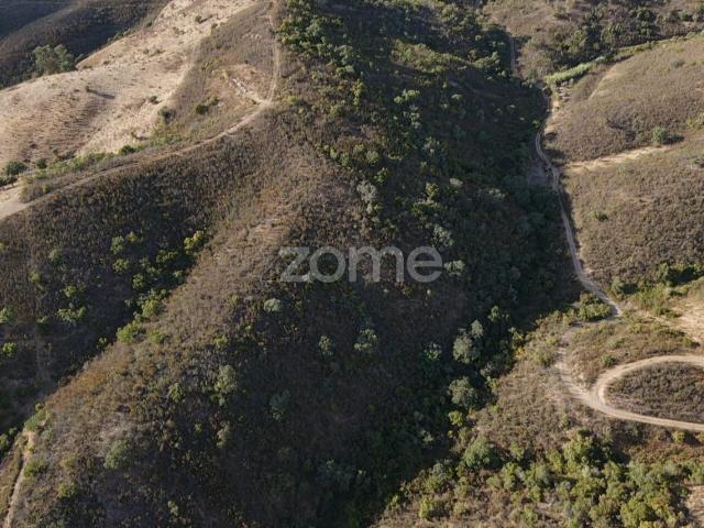 Terreno em S.B.Messines, Foz do Ribeiro com 45.680m2, c/ poço de água