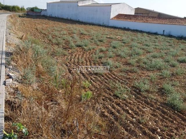 Terreno em S João de Negrilhos