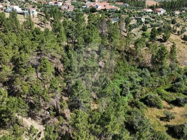 Terreno em São Vicente da Beira