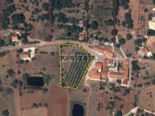 Terreno em São Bartolomeu de Messines
